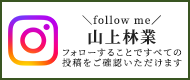インスタグラム